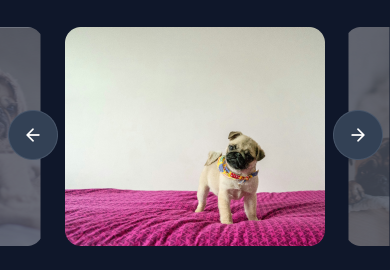 Carousel component preview